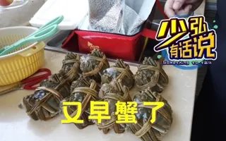 清蒸，是对大闸蟹的最高礼遇，吃货如是说 少弘有话说Vol.71