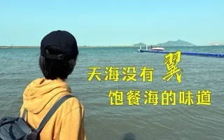 天海没有翼，但是却饱餐了海的味道
