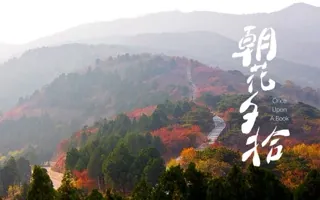 跨过人生的巨流河（2）朝花夕拾20190513