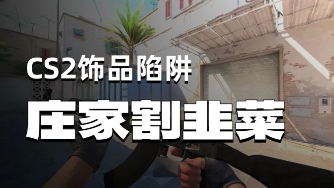 一枕黄粱，CS2黑蛋饰品诈骗事件