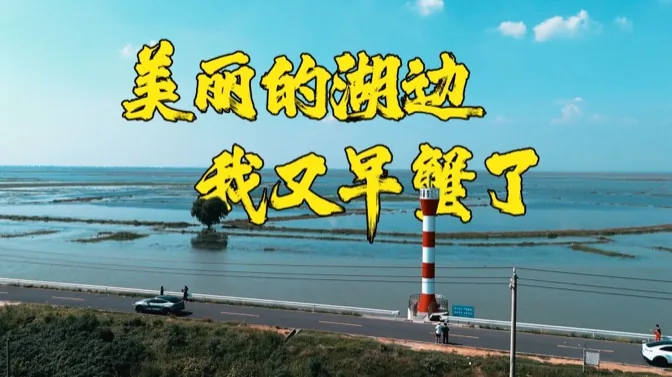 在这美丽的湖边，我又早蟹了
