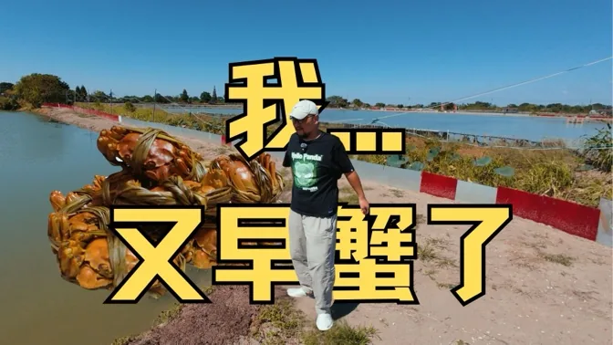 在螃蟹小哥的诱惑下，我又早蟹了