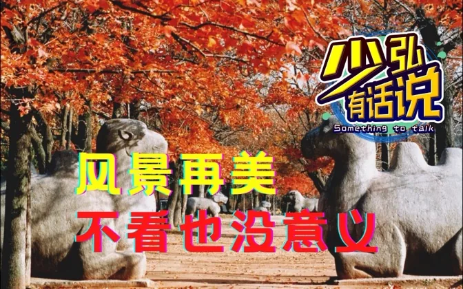 焦虑让人只顾着向前，沿途的风景都会错过 少弘有话说Vol.49