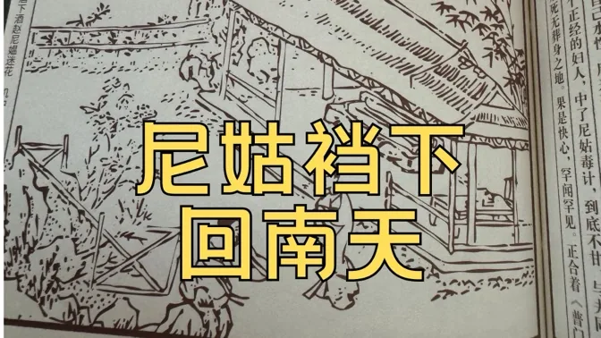 尼姑裆下回南天，拍案惊奇中的某批判故事